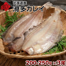 楽天市場 干物 焼魚 魚種別 宗八 なめたカレイ 昆布だし干物 島の人 礼文島の四季 北海道ギフト