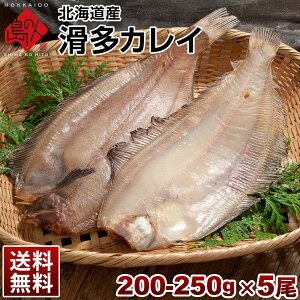 カレイ 高級 魚の人気商品 通販 価格比較 価格 Com