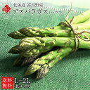 アスパラ 北海道 富良野産 朝もぎハウスグリーンアスパラ L〜2L混サイズ【秀品】【送料無料】【産地直送】お取り寄せ…