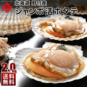 kC tY z^e 6i1.8`2.1kgxjyzHOKIo[xL[ɂ!kt ق L  O v[g kC Hi L 񂹃O CN  BBQ  v