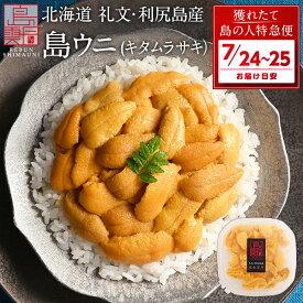 【7月24日～7月25日お届け】うに 北海道 礼文・利尻島産 生キタムラサキウニ 90g【送料無料】雲丹 生うに 塩水パック 塩水ウニ ギフト グルメ 食品 食べ物 海鮮 寿司 お取り寄せグルメ ミョウバン未使用 内祝い お返し プレゼント 高級 お中元 御中元 夏ギフト