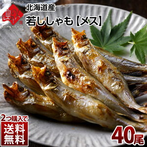 ししゃも 魚の人気商品 通販 価格比較 価格 Com