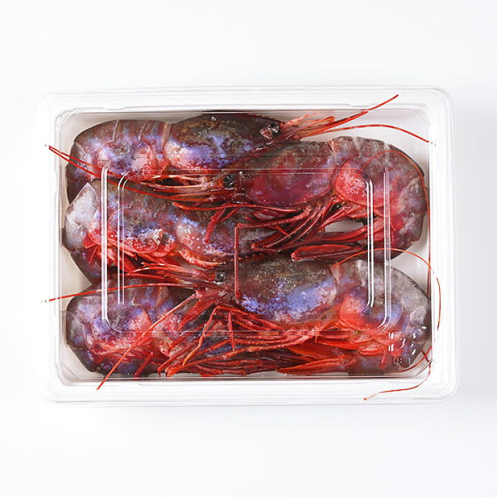 楽天市場 幻のエビ 北海道 羅臼産 ブドウエビ 250g 大中サイズ 5 7尾 送料無料 えび 海老 ヒゴロモエビ ボタンエビ 刺身 冷凍 お取り寄せ グルメ 贈答 贈り物 高級 青空レストラン 絶品 お取り寄せ 島の人 楽天市場 幻のエビ 北海道 羅臼産 ブドウエビ 250g 大中サイズ 5 7尾 送料無料 えび 海老 ヒゴロモエビ ボタンエビ 刺身 冷凍 お取り寄せ グルメ 贈答 贈り物 高級 青空レストラン 絶品 お取り寄せ 島の人