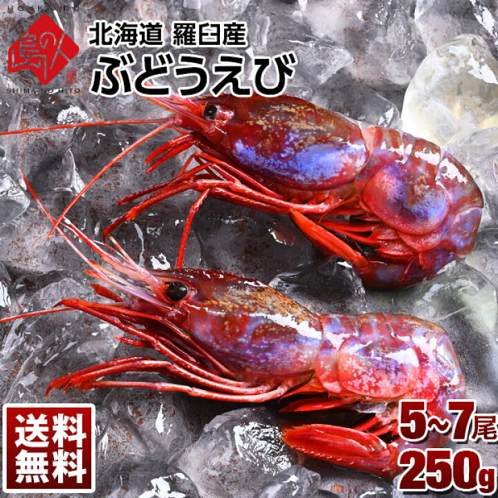 楽天市場 幻のエビ 北海道 羅臼産 ブドウエビ 250g 大中サイズ 5 7尾 送料無料 えび 海老 ヒゴロモエビ ボタンエビ 刺身 冷凍 お取り寄せ グルメ 贈答 贈り物 高級 青空レストラン 絶品 お取り寄せ 島の人 楽天市場 幻のエビ 北海道 羅臼産 ブドウエビ 250g 大中サイズ 5 7尾 送料無料 えび 海老 ヒゴロモエビ ボタンエビ 刺身 冷凍 お取り寄せ グルメ 贈答 贈り物 高級 青空レストラン 絶品 お取り寄せ 島の人