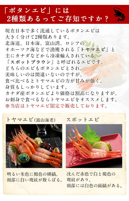 楽天市場 特大ボタンエビ 2lサイズ 500g 9 11尾 送料無料 北海道 お取り寄せグルメ 牡丹海老 えび 海老 食品 食べ物 海鮮 海産物 バーベキュー q お刺身 トヤマエビ リピート率no 1 スーパーセール タイムセール 島の人 礼文島の四季 北海道ギフト