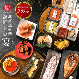 お中元 夏ギフト 北海道 高級 海鮮 9点セット 宴【送料無料】内祝い お返し うに イクラ ギフト 北海道 食べ物 食品 高級 海鮮 海産 誕生日 プレゼント お取り寄せ グルメ 詰め合わせ 1万円 結婚 出産 60代 70代 80代 贈り物 贈答 オードブル 冷凍 御中元