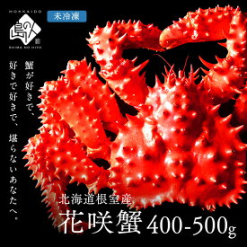 【産地直送】北海道 根室産 未冷凍 花咲ガニ(姿) 400-500g前後【チルド】北海道 お取り寄せグルメ かに 蟹 ギフト 食品 食べ物 誕生日 プレゼント 贈り物 海鮮 海産物 高級 父の日 お中元 御中元