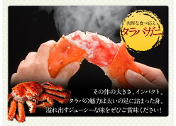 【蟹はこれで決まり】タラバ・ズワイ・毛蟹を食べつくし!選べる豪華三大蟹セット【送料無料】≪今なら花咲ガニ増量中!≫冷凍かにカニ蟹タラバガニズワイガニ毛ガニ花咲ガニかに脚カニ味噌お歳暮年末正月北海道お取り寄せギフト贈答