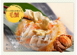 【蟹はこれで決まり】タラバ・ズワイ・毛蟹を食べつくし!選べる豪華三大蟹セット【送料無料】≪今なら花咲ガニ増量中!≫冷凍かにカニ蟹タラバガニズワイガニ毛ガニ花咲ガニかに脚カニ味噌お歳暮年末正月北海道お取り寄せギフト贈答