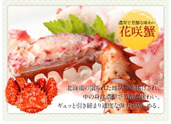 【蟹はこれで決まり】タラバ・ズワイ・毛蟹を食べつくし!選べる豪華三大蟹セット【送料無料】≪今なら花咲ガニ増量中!≫冷凍かにカニ蟹タラバガニズワイガニ毛ガニ花咲ガニかに脚カニ味噌お歳暮年末正月北海道お取り寄せギフト贈答
