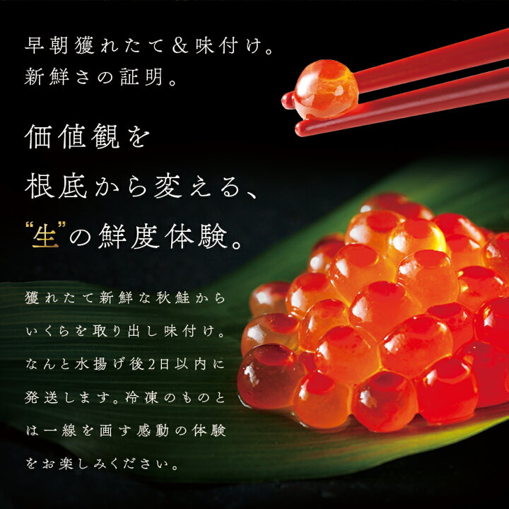 楽天市場】\衝撃の食感/ 未冷凍 北海道 斜里産 生いくら 醤油漬け 300g (150g×2) 皮までトロける上物醤油イクラ グルメ 食品 寿司 海鮮 お取り寄せグルメ 海産物 絶品 お取り寄せ 秋グルメ 海鮮丼 高級 ご飯のお供 : 島の人 楽天市場】\衝撃の食感/ 未冷凍 北海道 斜里産 生いくら 醤油漬け 300g (150g×2) 皮までトロける上物醤油イクラ グルメ 食品 寿司 海鮮 お取り寄せグルメ 海産物 絶品 お取り寄せ 秋グルメ 海鮮丼 高級 ご飯のお供 : 島の人
