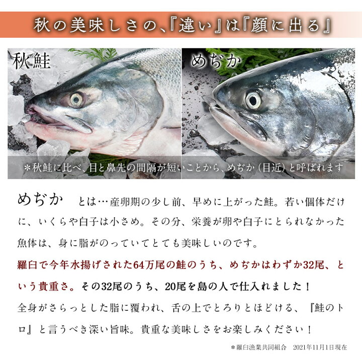 楽天市場 北海道 羅臼産 めぢか 鮭 半身 送料無料 二万尾に一本の貴重な鮭を扱いやすい半身でお取り寄せグルメ さけ シャケ 魚 海鮮 食品 海鮮 海産物 絶品 お取り寄せ 島の人 礼文島の四季 北海道ギフト
