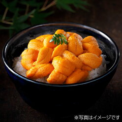 北方四島産氷結バフンウニ