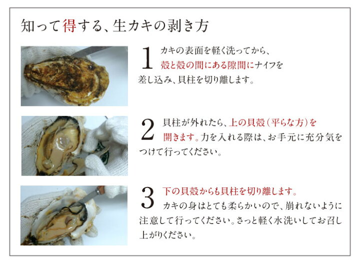 楽天市場 選べるお届け日 岩牡蠣 北海道 奥尻島産 岩牡蠣 ｍサイズ8個入り 1 2kg前後 ブランド牡蠣 奥伎 おうぎ 送料無料 お取り寄せグルメ 北海道 グルメ 貝 牡蠣 産地直送 生牡蠣 殻付き 北海道産 牡蠣 生ガキ 生食 バーベキュー 海鮮 かき 生食用 いわがき