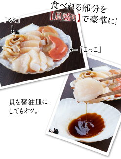 活きたまま届く北海道産活ホタテ【送料無料】2kg(7〜9枚前後入)北海道帆立生ホタテ送料無料ほたて刺身用帆立活ホタテ帆立殻付きBBQ