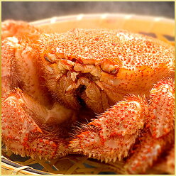 豪華三大蟹セットタラバ・ズワイ・毛蟹【送料無料】