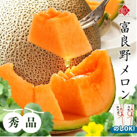 富良野メロン 1.6kg／2.0kg／2.5kg 玉 秀品【ご贈答用】【送料無料】お取り寄せグルメ ギフト 北海道 食べ物 食品 ふらの 果物 グルメ フルーツ お中元 御中元 贈り物 贈答 赤肉メロン 夏ギフト