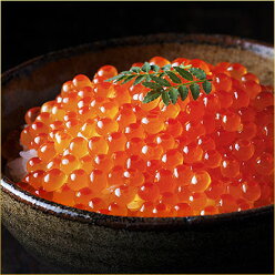 【100個限定】凍結北方バフン&昆布だしイクラギフト自慢の昆布だしいくらとお刺身ウニの豪華ギフト北海道産エゾバフンウニウニ生ウニうに雲丹北海道お土産お取り寄せギフト食べ物食品父の日