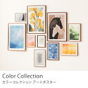 アートポスター Color Collection A3 アート ポスター 北欧 日本製 リビング ダイニング ナチュラル おしゃれ カラー…