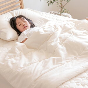 o[Vu Pbg Rbg n[tTCY 140×70 AC{[ O[ |zc ⊴ Ή