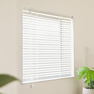 �A���~�u���C���h �Z���[�m�O�����c25 �e���V�����^�C�v �X�^���_�[�h�J���[ ��121�`140cm ���{�� �}�b�g�~���N�z���C�g �\�t�g�O���C ���l���x�[�W�� V1211 V1213 V1238