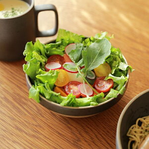 {EEh HASAMI PORCELAIN 14.5cm^Cv OXO[ ubN g nT~|[Z H yMt_ Ή