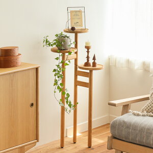 t[X^h HOKOS t[bN u fBXvC I  ~` a22cm ؐ VR `[N i` 
