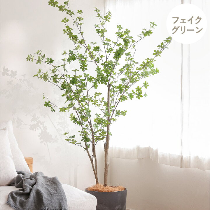 楽天市場】フェイクグリーンドウダンツツジ 高さ155cm 人工観葉植物 
