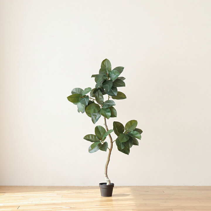 楽天市場】フェイクグリーン ゴムの木 高さ91cm 人工観葉植物 人工植物 
