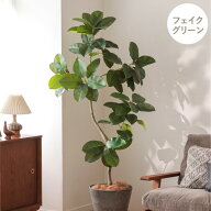 フェイクグリーン ゴムの木 高さ150cm 人工観葉植物 人工植物 グリーン 造花 インテリア おしゃれ リアル