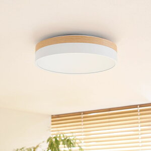 V[OCg VƖ Olika LED CEILING LIGHT  F ؐ Rt Ή