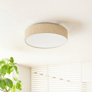 VƖ TEXAS LED CEILING LIGHT eLTX V[OCg ^  F rO _CjO Rt  k i` AZG-101-AB AvX 