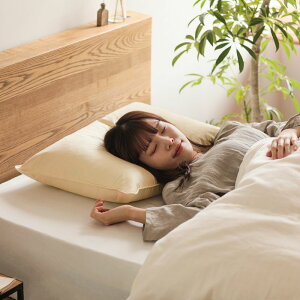 tFU[s[ 43×63cm  s[ tFU[ 100   Q