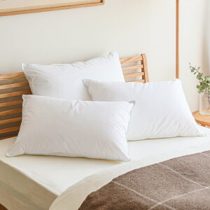 �􂦂� �h�_�j100�� �m���f�B�b�N �X���[�v �s���[ �~�f�B�A���n�C�^���� 50×70cm �i�`������ ������� �����o�בΉ�