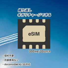 リチャージSIM eSIM エントリーパッケージ プリペイドSIM ギガリチャージで繰り返し利用可能 契約不要 月額費用なし レンタル不要 買切り ネットワーク専用 ドコモ回線 データSIM 格安SIM リチャージWiFi