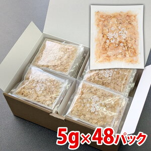 Iu{ނ芏{͐ ɔv5g×48pyMtgɍœKz