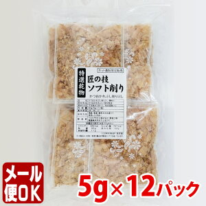 Iu{ނ芏{͐ ɔv5g×12܁yE[֑z