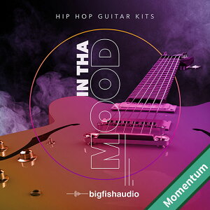 BIG FISH AUDIO yrbOtBbVI[fBIZ[IzIN THA MOOD - HIP HOP GUITAR KITS MMT(IC[i)(2Ԉȓɔ[i) vOC\tg