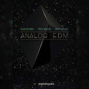 BIG FISH AUDIO ANALOG EDM(�I�����C���[�i)(2���Ԉȓ��ɔ[�i) �v���O�C���\�t�g