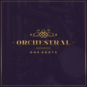 DIGINOIZ ORCHESTRAL ONE SHOTS(IC[i)(2Ԉȓɔ[i) vOC\tg