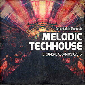 DELECTABLE RECORDS MELODIC TECHHOUSE 01(IC[i)(2Ԉȓɔ[i) vOC\tg