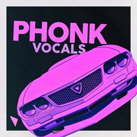 DABRO MUSIC PHONK VOCALS(オンライン納品)(2時間以内に納品) プラグインソフト