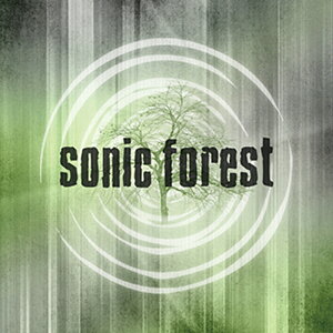 IMPACT SOUNDWORKS SONIC FOREST(�I�����C���[�i)(2���Ԉȓ��ɔ[�i) �v���O�C���\�t�g