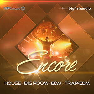 BIG FISH AUDIO ENCORE(IC[i)(2Ԉȓɔ[i) vOC\tg