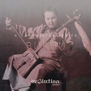 EVOLUTION SERIES CHRONICLES BUKHU(�I�����C���[�i)(2���Ԉȓ��ɔ[�i) �\�t�g�E�F�A����