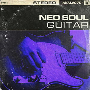 TOUCH LOOPS NEO SOUL GUITARS(IC[i)(2Ԉȓɔ[i) vOC\tg