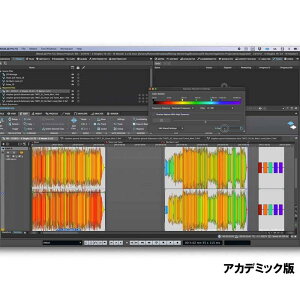 Steinberg WaveLab Elements 12 Education (�A�J�f�~�b�N��)(�X�^�C���o�[�O)(DAW�\�t�g)(�g�`�ҏW�\�t�g)(�E�F�u���{)(�I�����C���[�i)(2���Ԉȓ��ɔ[�i) DAW�\�t�g