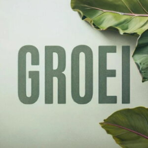 DREAM DATE DESIGNS GROEI(�I�����C���[�i)(2���Ԉȓ��ɔ[�i) �v���O�C���\�t�g