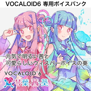 INTERNET VOCALOID6 Voicebank ՗t E(IC[i)(2Ԉȓɔ[i) \tgEFA