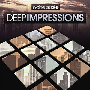 NICHE AUDIO DEEP IMPRESSIONS - ABLETON LIVE(�I�����C���[�i)(2���Ԉȓ��ɔ[�i) �v���O�C���\�t�g